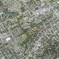 Person with back pain near Chester Pike
