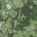 Multiple trees blocking Browns Ferry Road