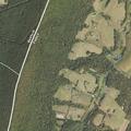 71-year-old diabetic woman having seizure at Crystal Spring