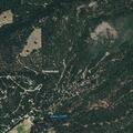 78-year-old man with testicular bleeding at Greenhorn Ranch