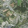 Person experiencing severe headache at Equine Cove