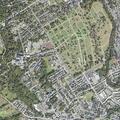 Assault reported near Summit Street