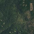 Small wildfire in Plumas National Forest