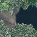 Dog bite incident reported at New Jersey Ave, Pine Beach