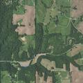 Man collapses and breathes near County Road 421 in Amazonia