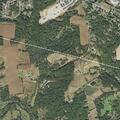 Man lying in grass asks for help at Youngs Road
