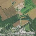 Person with surgical complications at Ox Roast grounds