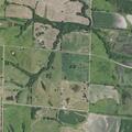 Resident reports stray dogs in yard in Brookfield