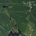 Trauma victim reported near Four Mile Road in Pemberton