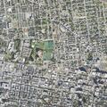 Female fall reported near Holden Avenue