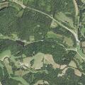 Traffic stop on Ford truck in Greene County