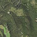 Trees, poles and wires down on Jim Mountain Road