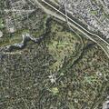 diabetic patient needing assistance at local address