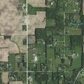 Loose cows creating road hazard in Zionsville