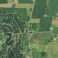 20-year-old male attacked by cow bleeding from eye