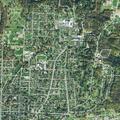Elderly woman with possible blood clot near Cambridge