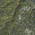 Person with head injury at nursing facility in Narberth