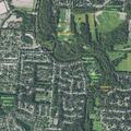 Neighbor dispute over dogs near N Stygler Rd