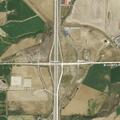 Injured animal reported in roadside ditch