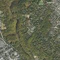 False robbery alarm at West Bon Air Avenue