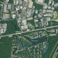 Person suffering syncope near Buckingham Drive in Lakewood