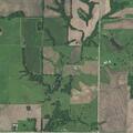 Female falls near County Road 96, no injury reported