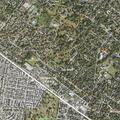 Person experiencing general weakness at Sycamore Avenue