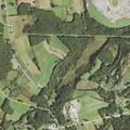 90-year-old female choking near Buchanan Road