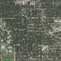 Female urinating blood near Zuppke Drive in Urbana