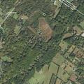 Person found unresponsive but breathing at Dogwood Lane