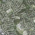 Person having allergic reaction near Upper Merion