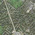 Person fell near Dogwood Road in Springfield