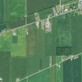 Illness reported near Brown Road, Covington