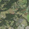 Person suffering from abdominal pain at Griffith Field