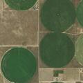 Harassment reported on Weld County Road (number withheld)