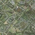Person having allergic reaction at Cottonwood Drive