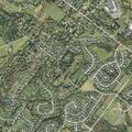Person having allergic reaction at Cottonwood Drive
