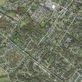 Person suffering from back pain near Chestnut Street