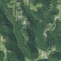 94-year-old injured after being struck by tree near Rocky Fork Road