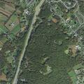 Person having allergic reaction near Woodcrest Lane
