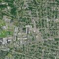 Person with allergic reaction at Neptune Avenue apartment