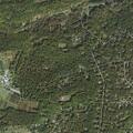 83-year-old woman falls and hits head at Timber Ridge Rd