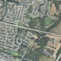 Person reported sick near McKinney Lane and Rosedale Avenue