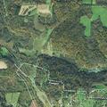 Trees blocking one lane on Route 342 near Freeport
