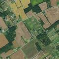 Person with diabetic emergency near Coleman-Brake Road