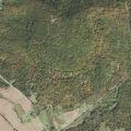 Person unable to walk at residence in Todd Township