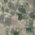 Loose cow on roadway near State Road 213