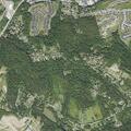 Elderly woman with chest pain near Linden Road