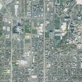 Object dangling from tree at Provo intersection