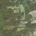 Elderly man with back pain bedbound at Buckskin Lane